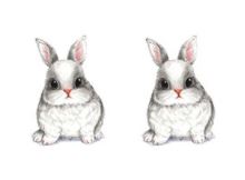 Grey/White Bunny Earrings